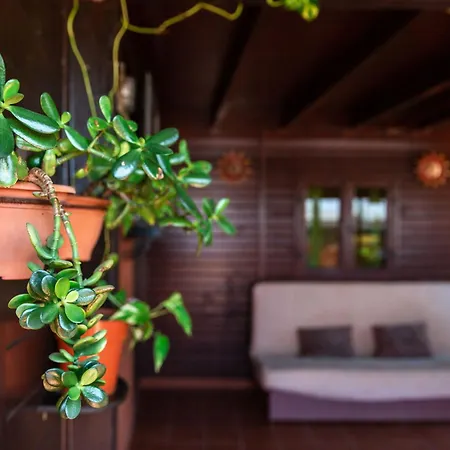 Casa Orymar Apartment *