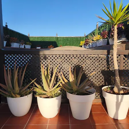 Casa Orymar *